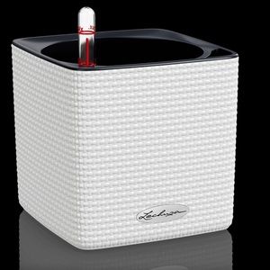 CUBE COLOR 14 - WHITE